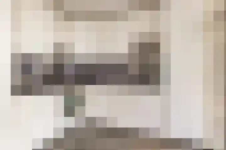 Geraert Brandtstraat 7 Eindhoven thumbnail 17