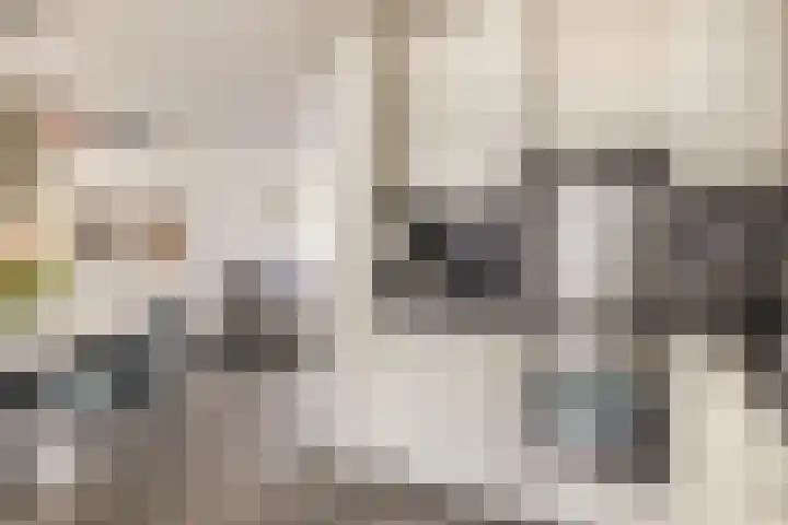 Geraert Brandtstraat 7 Eindhoven thumbnail 19