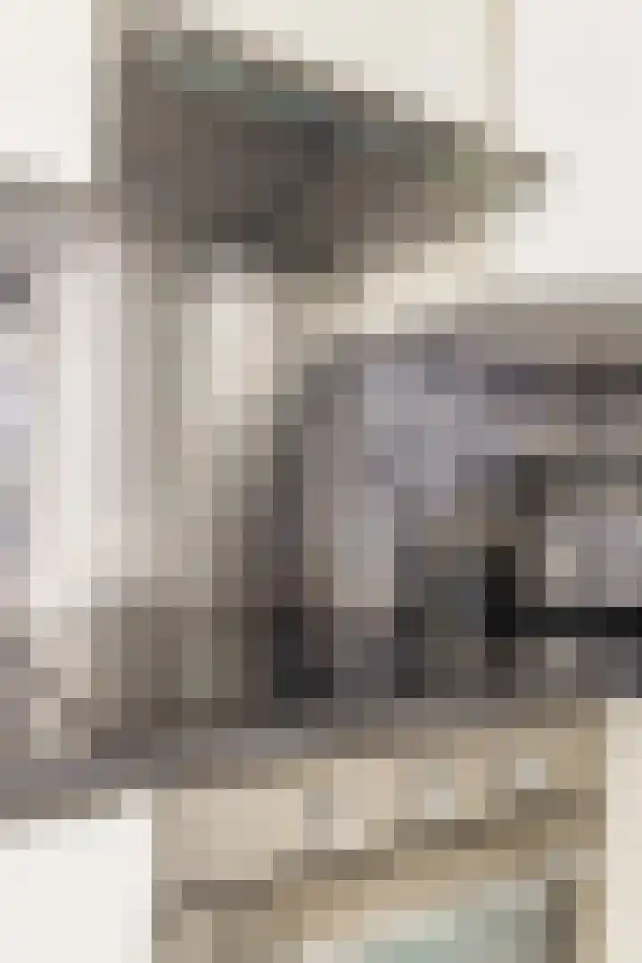 Geraert Brandtstraat 7 Eindhoven thumbnail 21