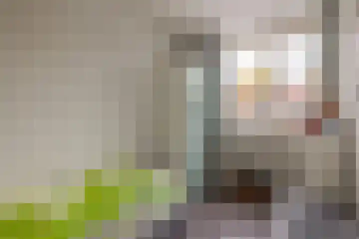 Geraert Brandtstraat 7 Eindhoven thumbnail 26