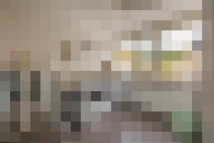 Geraert Brandtstraat 7 Eindhoven thumbnail 27