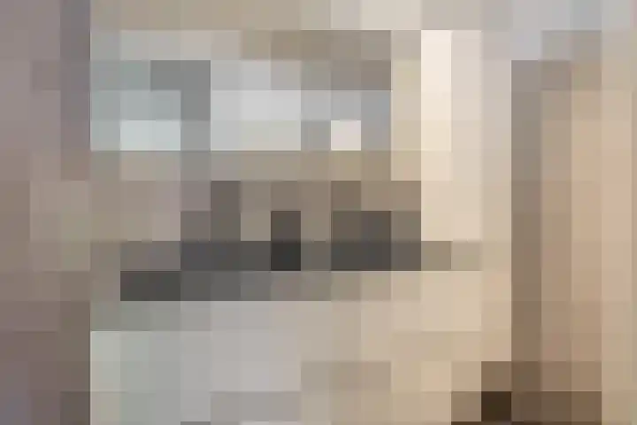 Geraert Brandtstraat 7 Eindhoven thumbnail 28