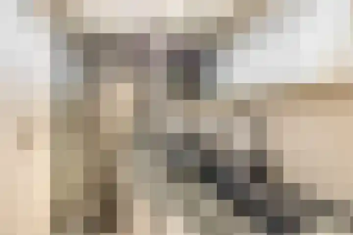 Geraert Brandtstraat 7 Eindhoven thumbnail 29