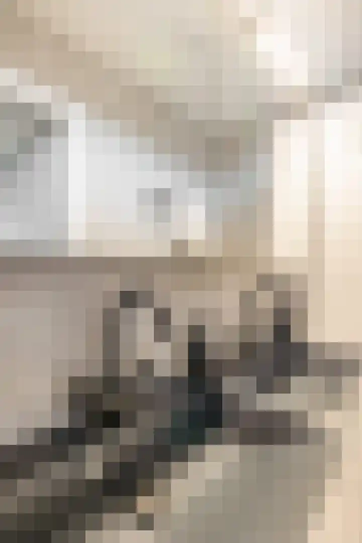 Geraert Brandtstraat 7 Eindhoven thumbnail 30
