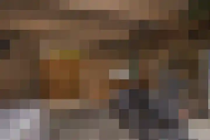Geraert Brandtstraat 7 Eindhoven thumbnail 38