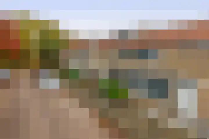 Geraert Brandtstraat 7 Eindhoven thumbnail 6