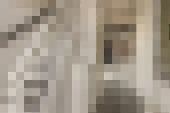 Geraert Brandtstraat 7 Eindhoven thumbnail 7