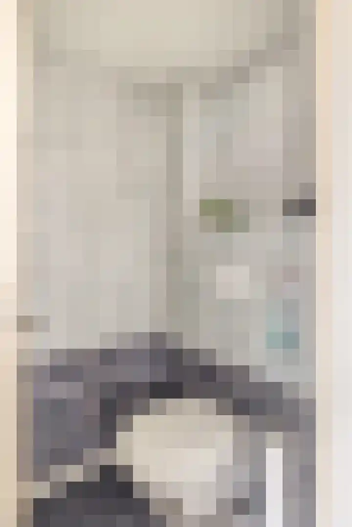Geraert Brandtstraat 7 Eindhoven thumbnail 9