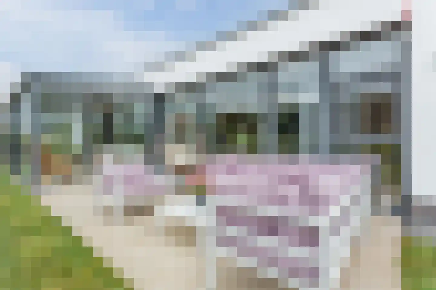 Gerald Pearsonlaan 19 Almere thumbnail 37