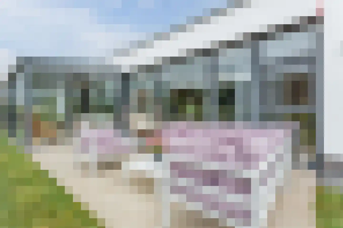 Gerald Pearsonlaan 19 Almere thumbnail 43