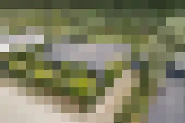 Gerald Pearsonlaan 50 Almere