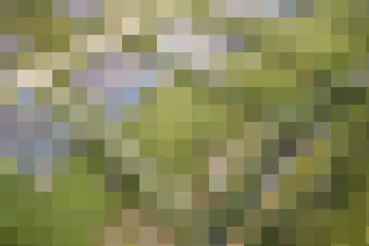 Gerald Pearsonlaan 50 Almere thumbnail 55