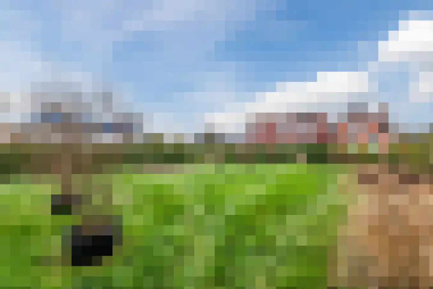 Geraldadrift 1 Uithuizen thumbnail 37
