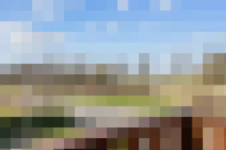 Geraldadrift 5 Uithuizen thumbnail 32