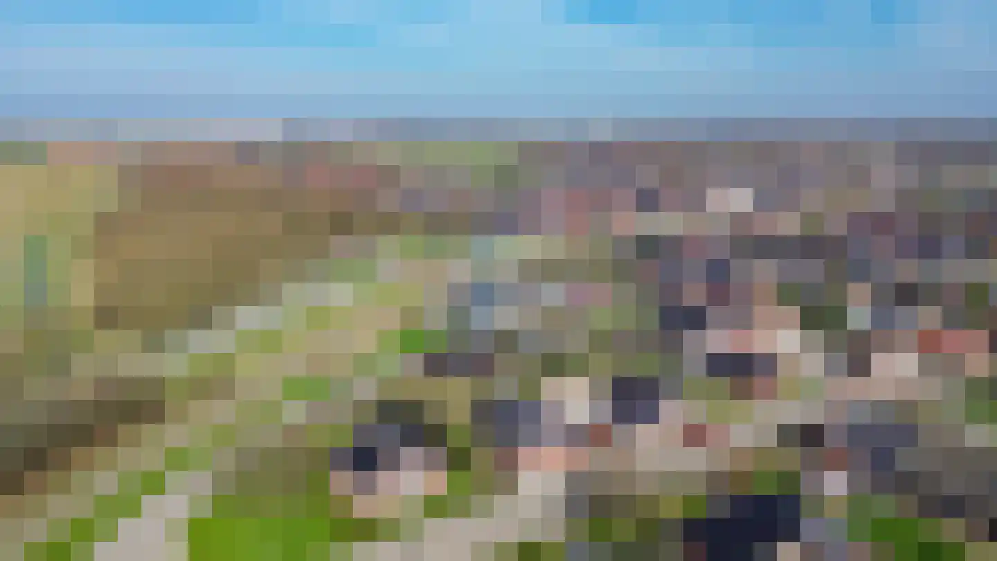 Geraldadrift 5 Uithuizen thumbnail 50
