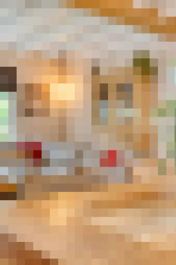 Geranium 72 Vinkel thumbnail 11