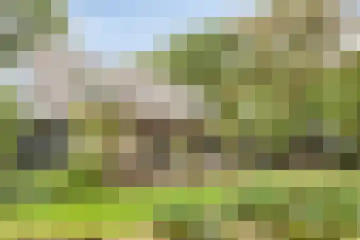 Geranium 72 Vinkel thumbnail 37