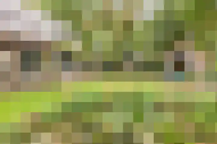 Geranium 72 Vinkel thumbnail 38