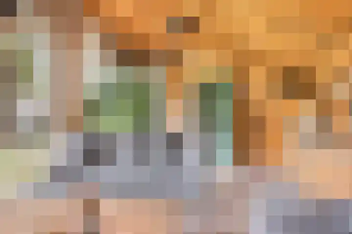 Geranium 72 Vinkel thumbnail 41