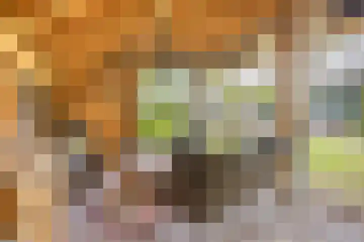 Geranium 72 Vinkel thumbnail 43