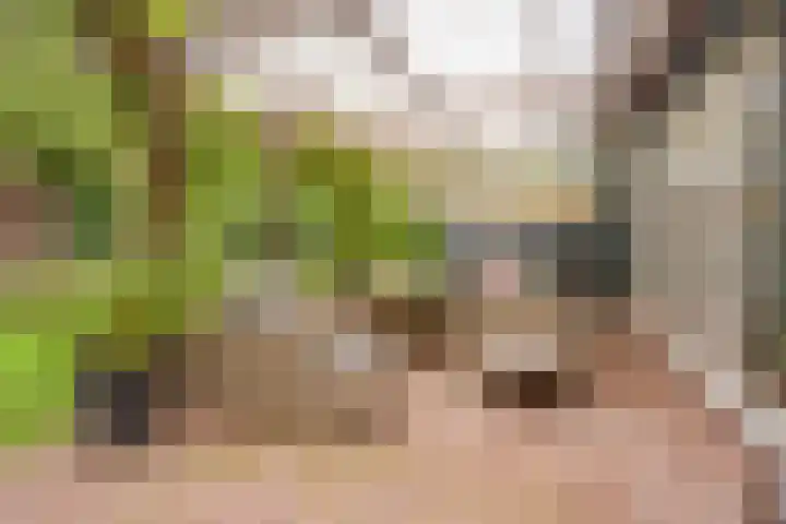 Geranium 72 Vinkel thumbnail 46