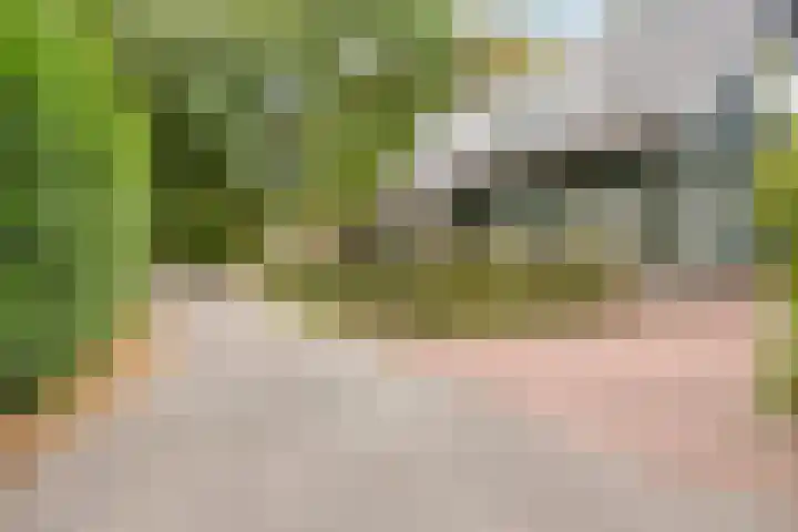 Geranium 72 Vinkel thumbnail 49