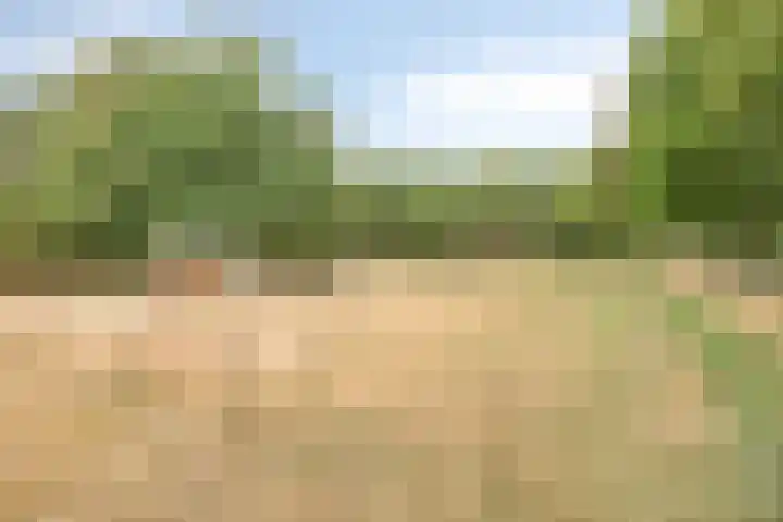 Geranium 72 Vinkel thumbnail 51