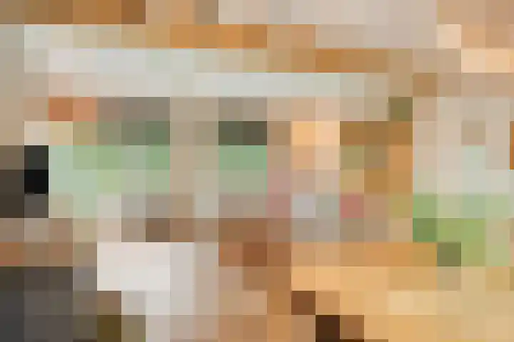 Geranium 72 Vinkel thumbnail 9