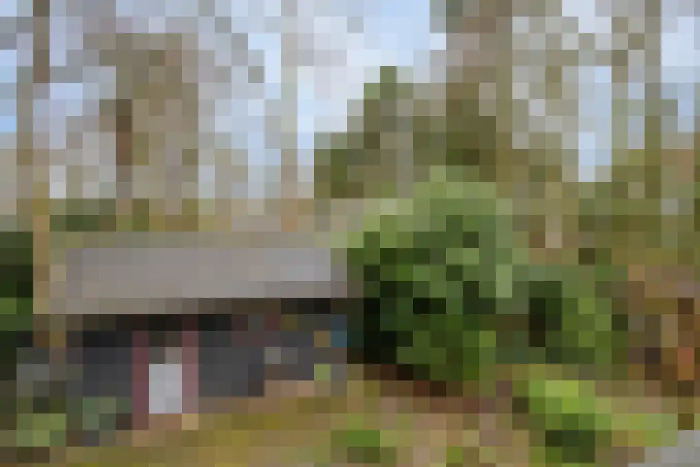 Geranium 76 Vinkel thumbnail 19