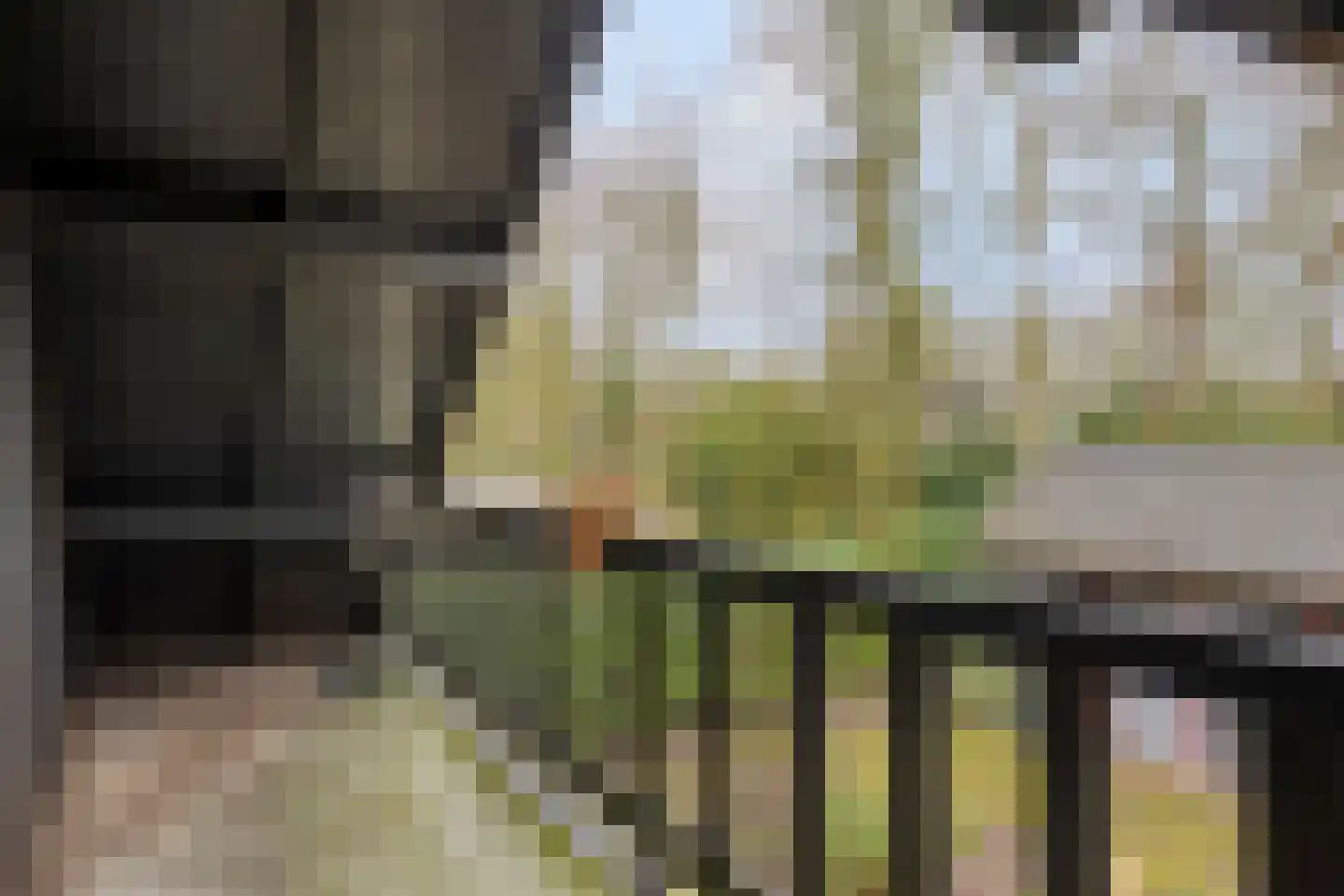 Geranium 76 Vinkel thumbnail 20