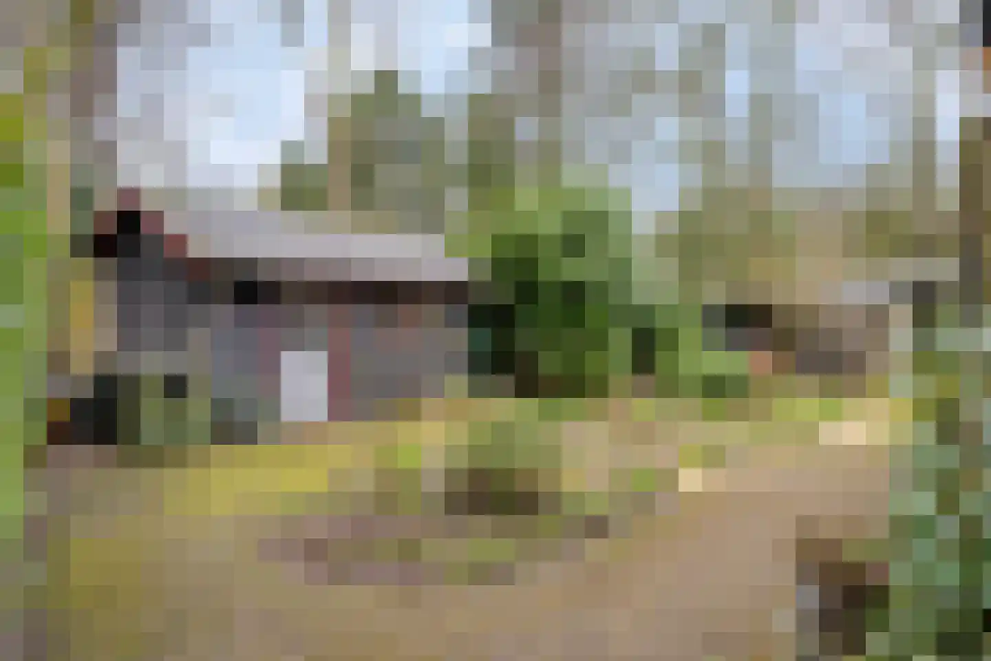 Geranium 76 Vinkel thumbnail 21