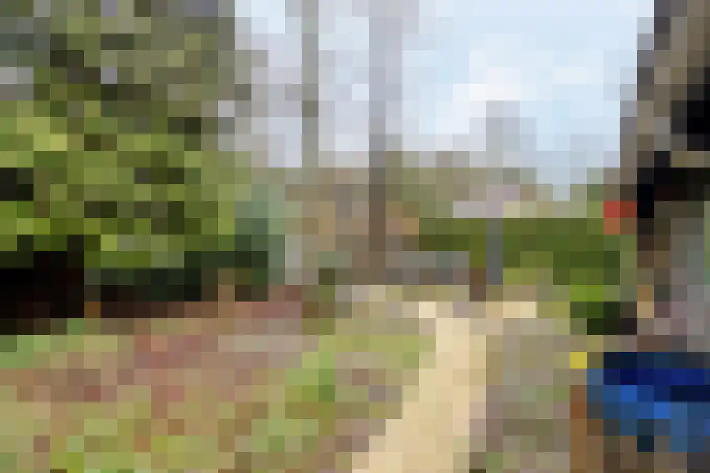 Geranium 76 Vinkel thumbnail 23