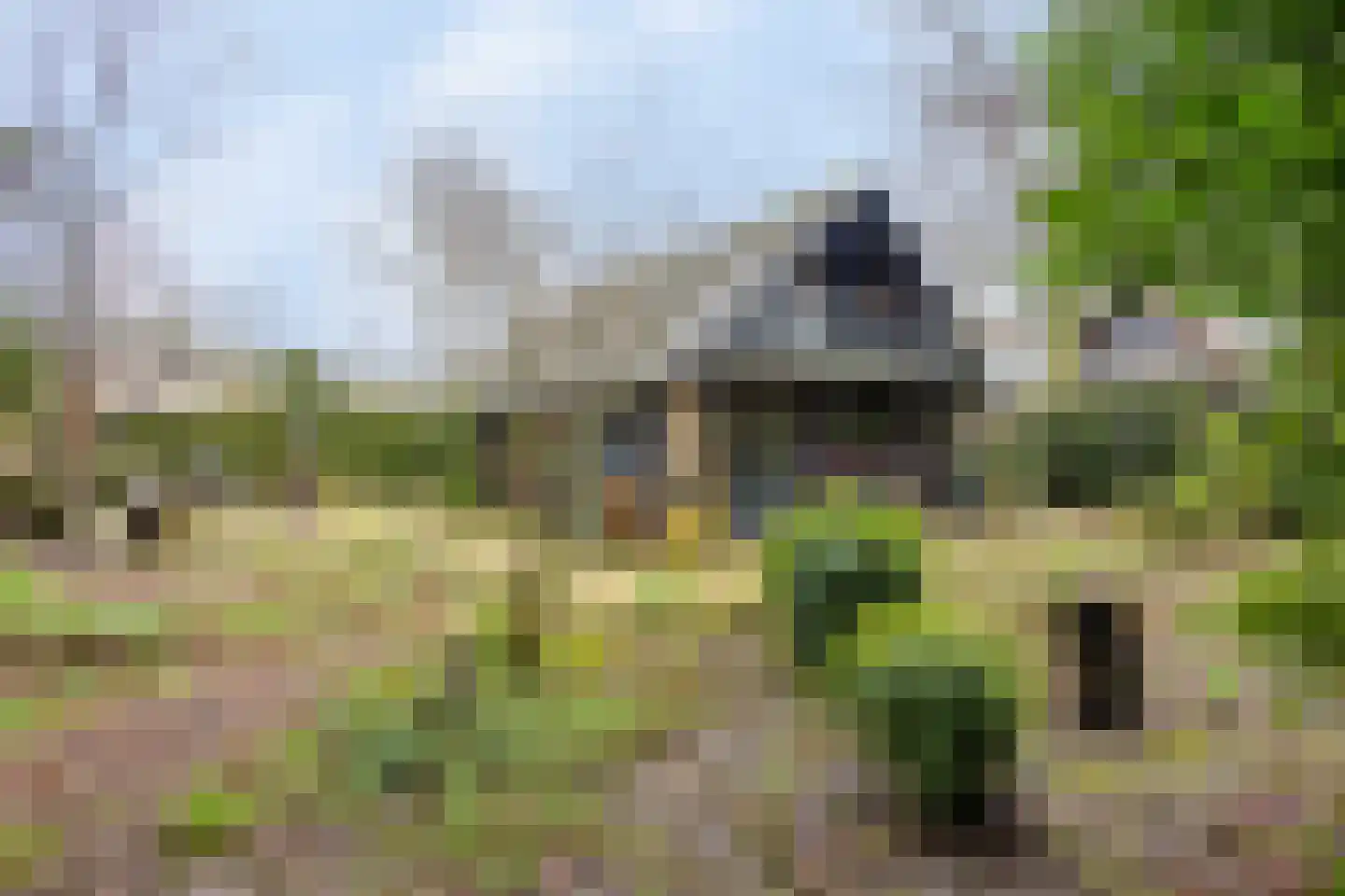 Geranium 76 Vinkel thumbnail 24