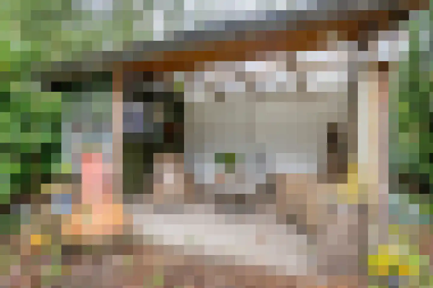 Geranium 76 Vinkel thumbnail 28