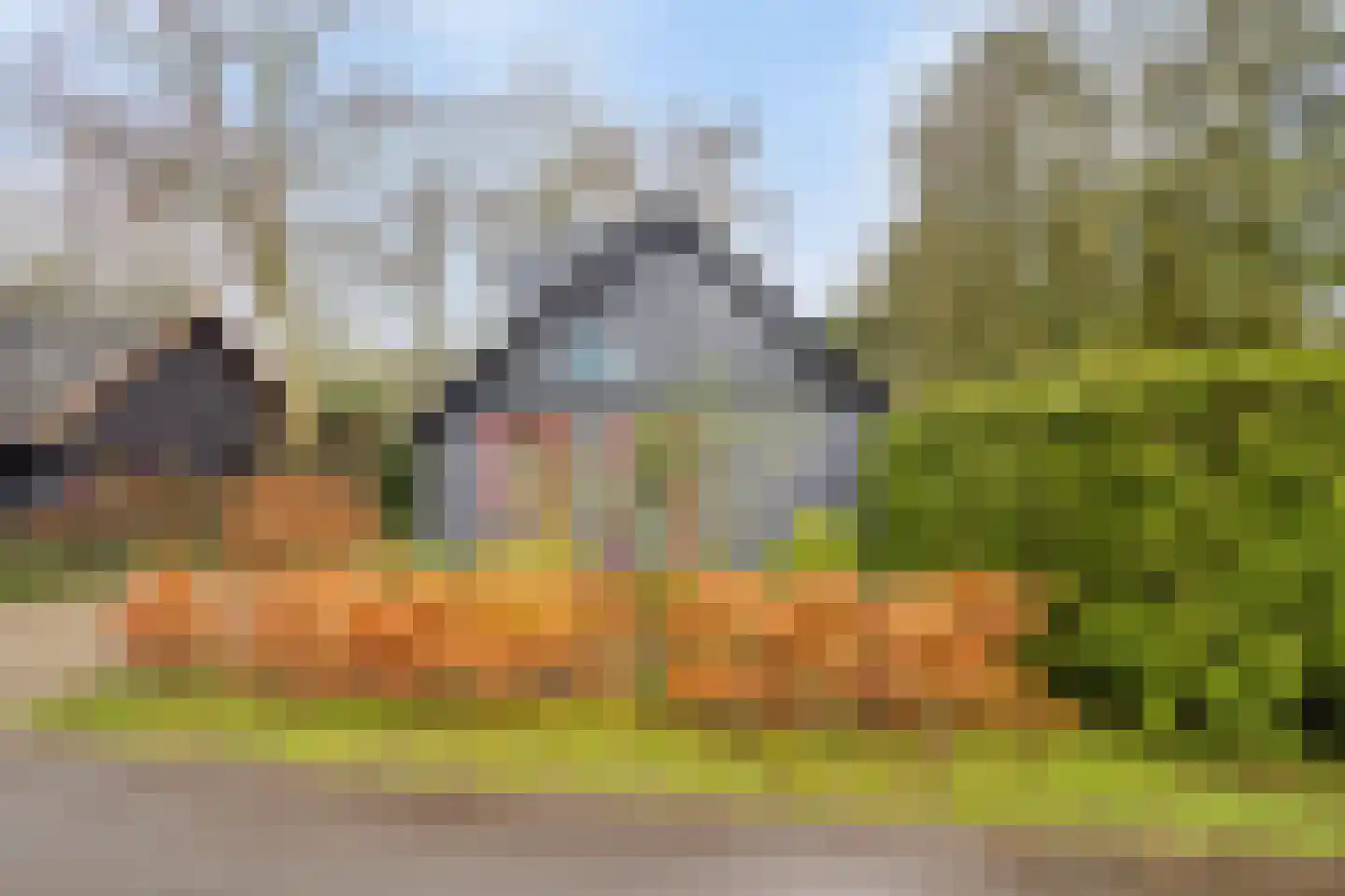 Geranium 76 Vinkel thumbnail 32