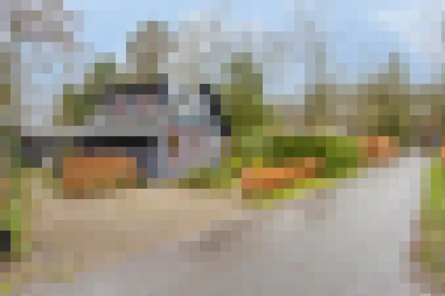 Geranium 76 Vinkel thumbnail 33