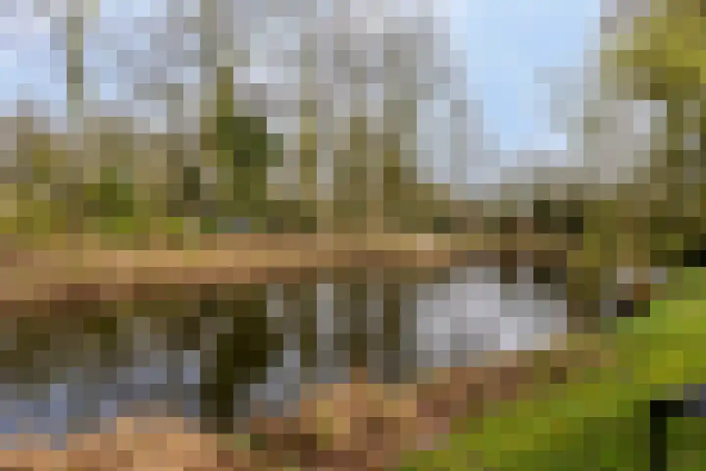 Geranium 76 Vinkel thumbnail 34