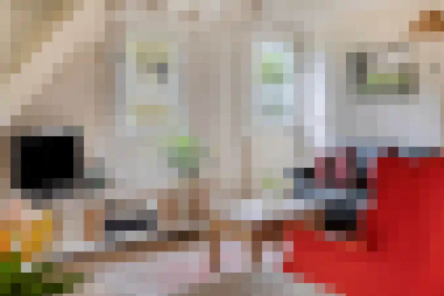 Geranium 76 Vinkel thumbnail 6
