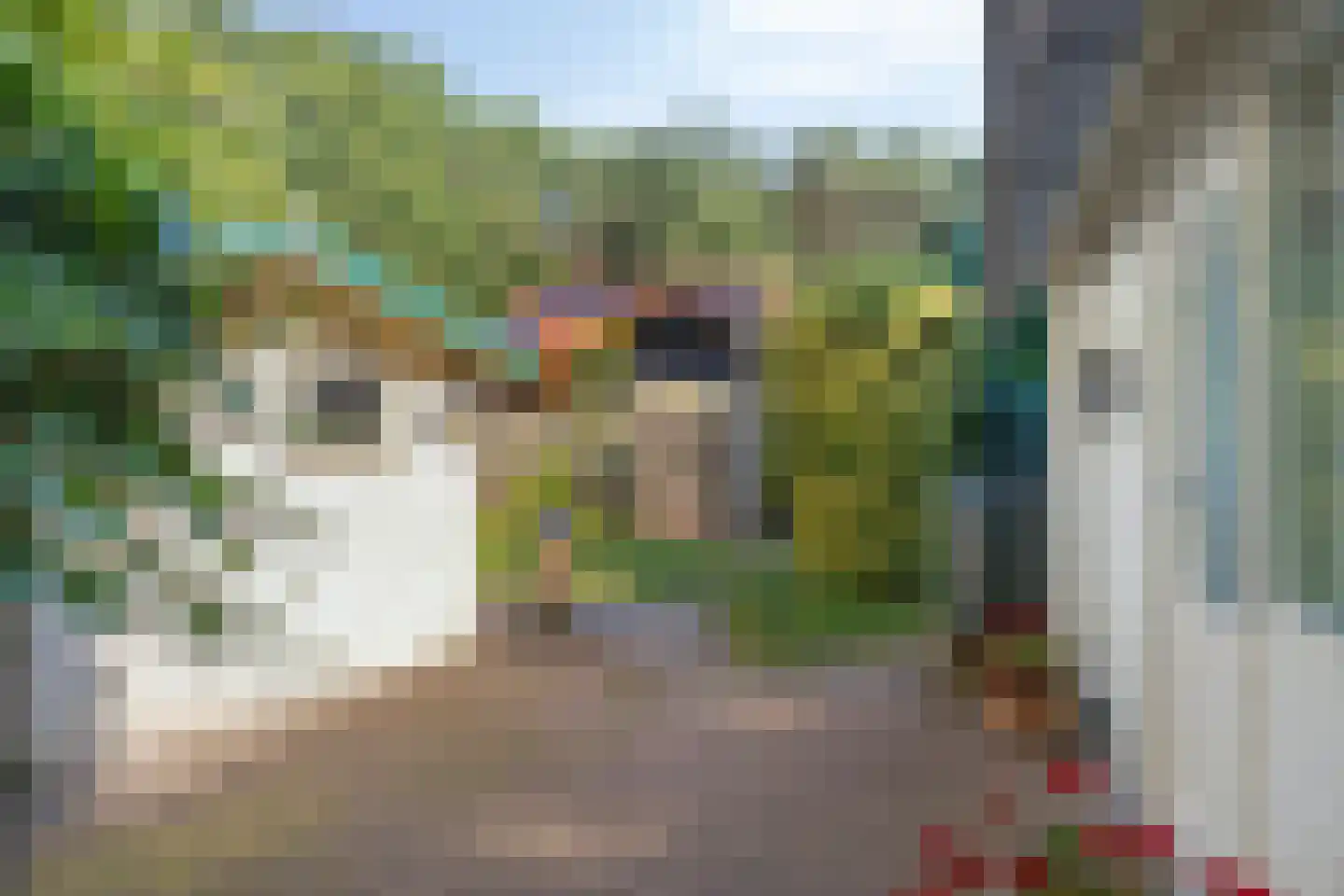 Geranium 83 Vinkel thumbnail 12