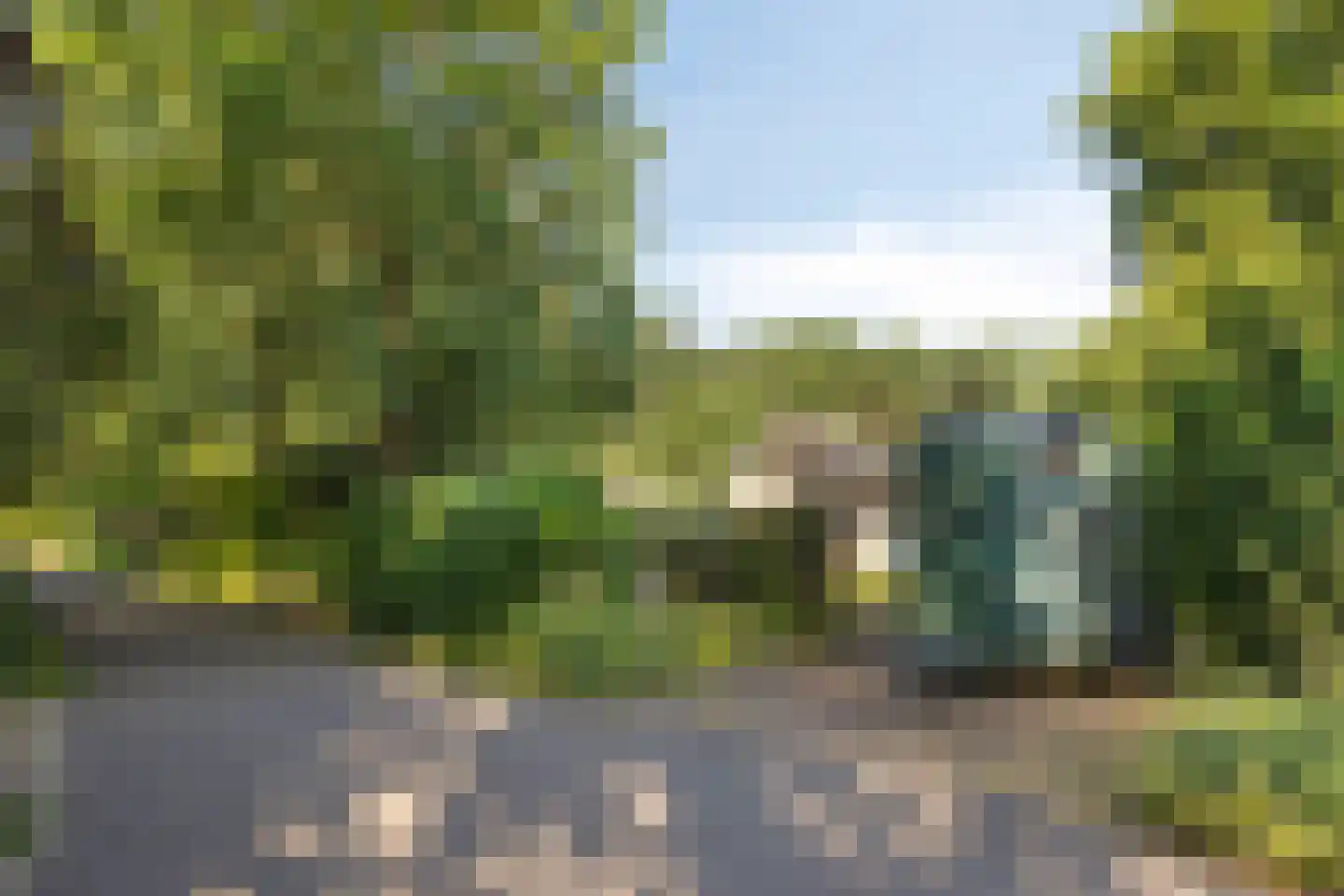 Geranium 83 Vinkel thumbnail 28