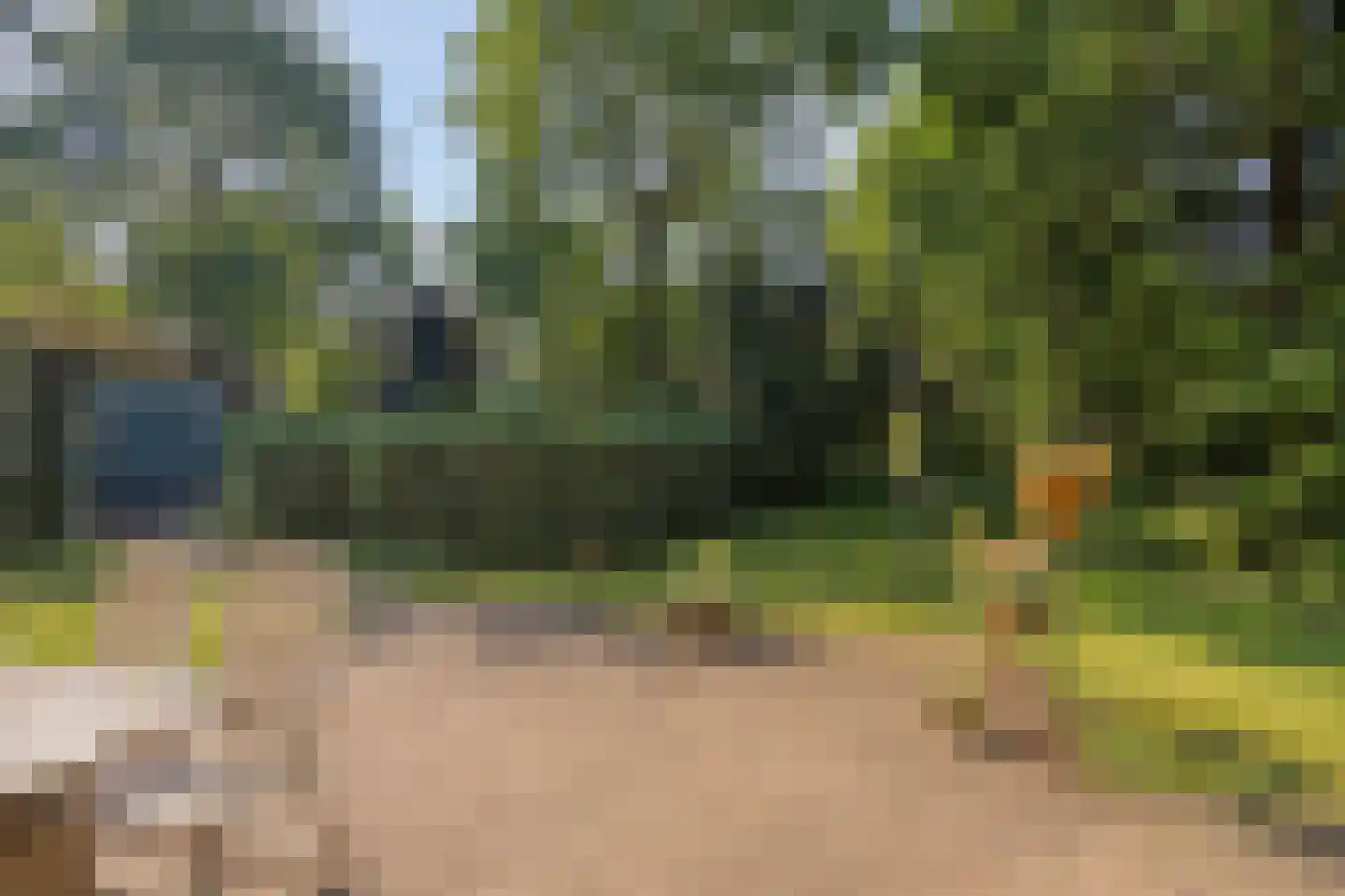 Geranium 83 Vinkel thumbnail 9