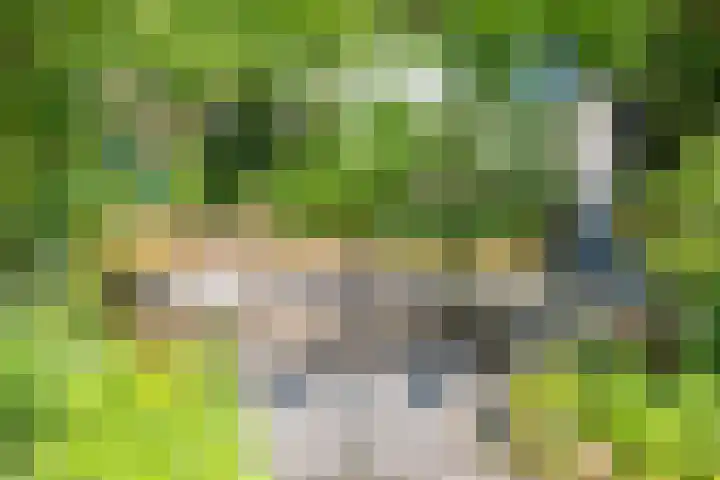 Geranium 84 Vinkel thumbnail 10