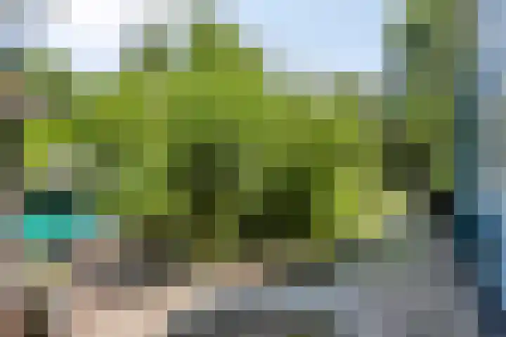 Geranium 84 Vinkel thumbnail 11