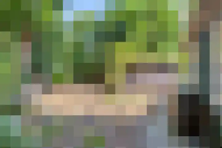 Geranium 84 Vinkel thumbnail 12
