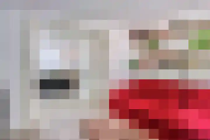 Geranium 84 Vinkel thumbnail 21
