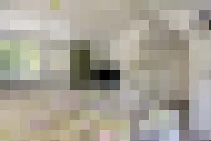 Geranium 84 Vinkel thumbnail 27