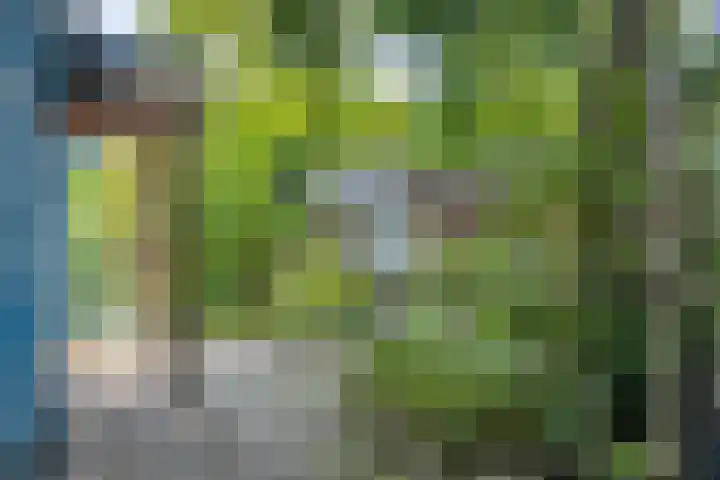Geranium 84 Vinkel thumbnail 4