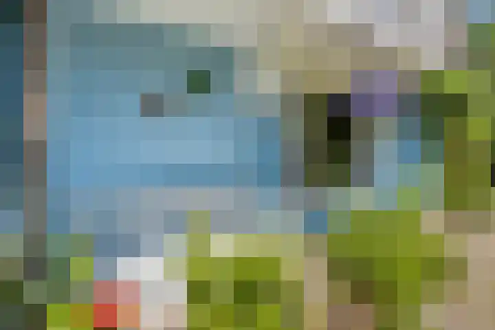 Geranium 84 Vinkel thumbnail 6