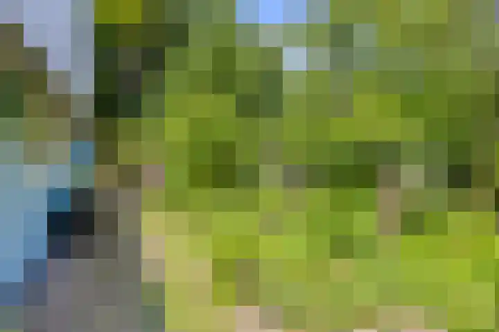 Geranium 84 Vinkel thumbnail 8