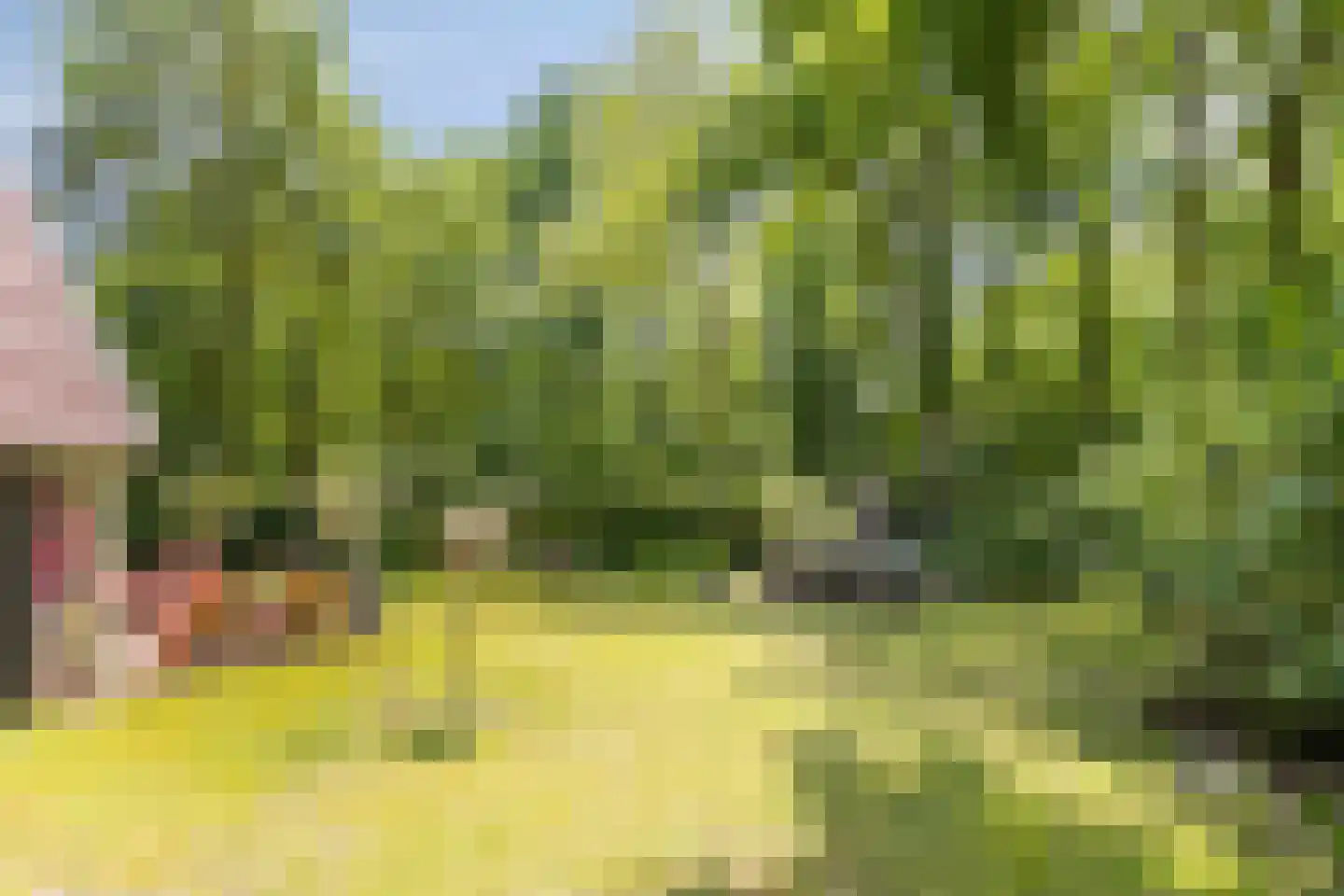 Geranium 90 Vinkel thumbnail 14